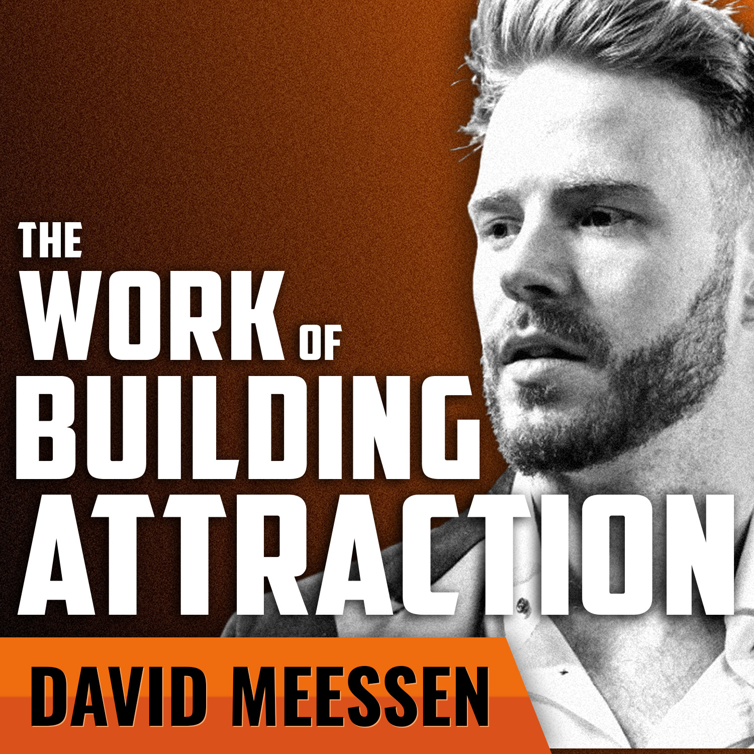 DAVID MEESSEN | The Work of Building Attraction