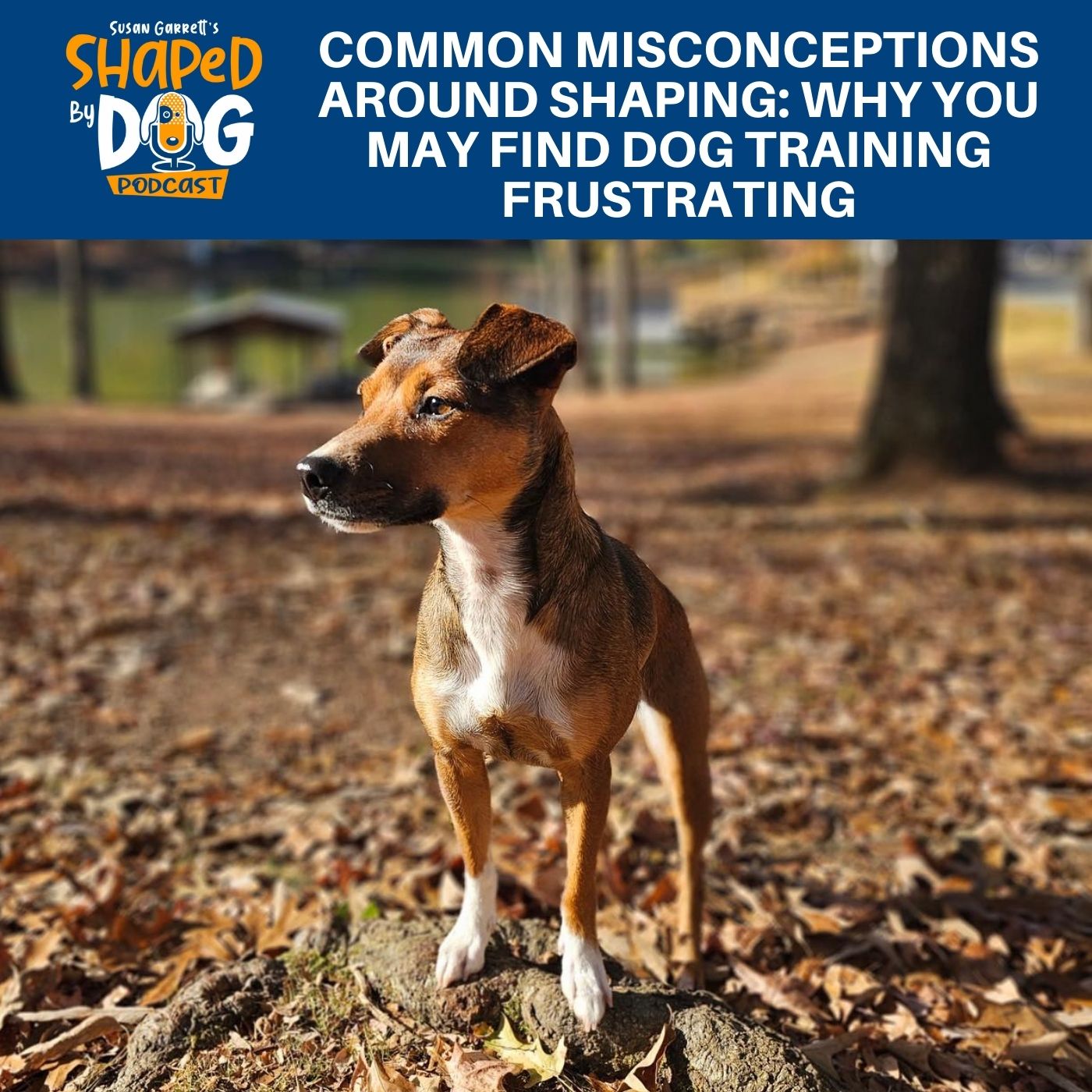 Shaped by Dog with Susan Garrett