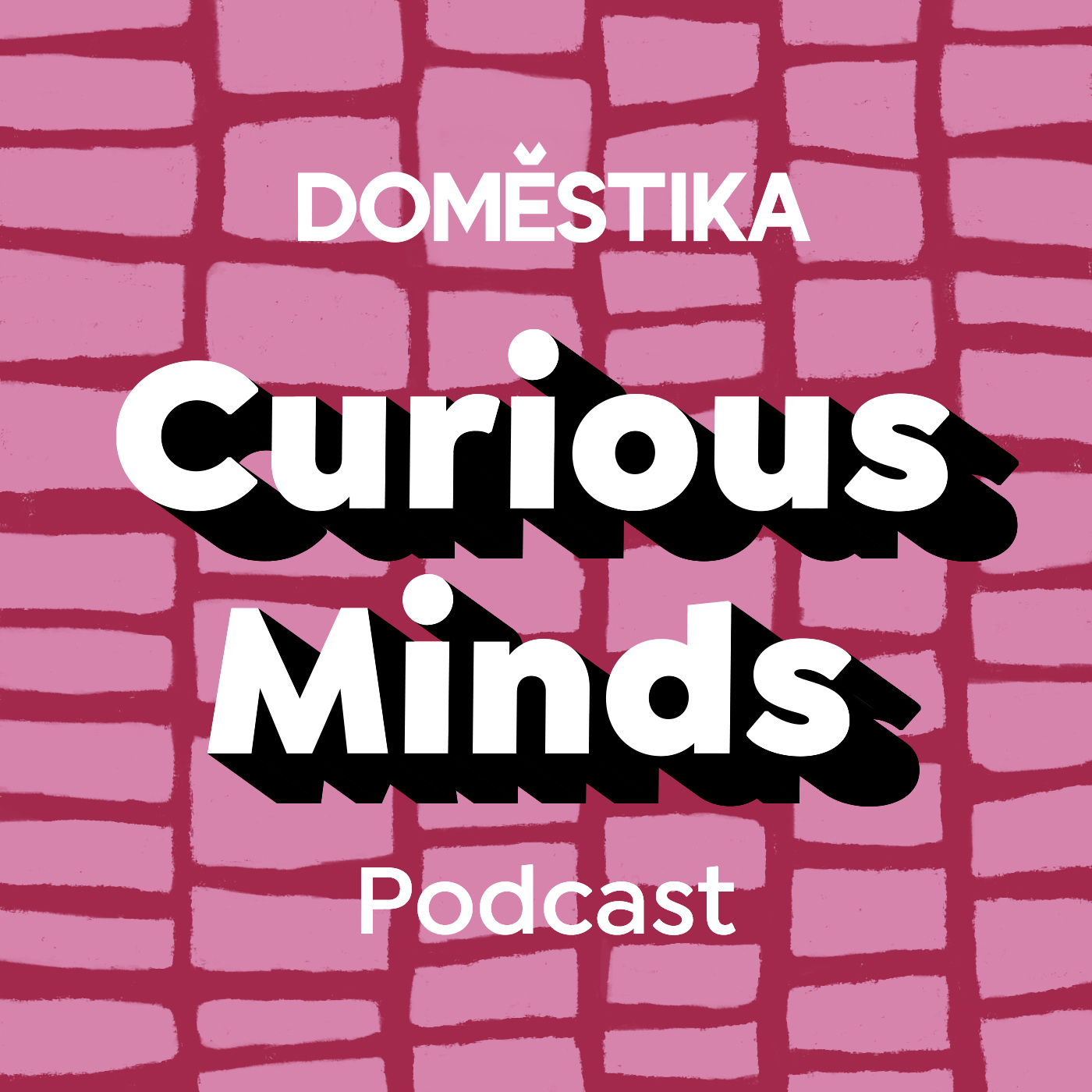 Domestika Curious Minds