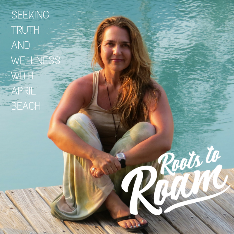 Lifestyle Design, 20-hour Work Weeks, & Entrepreneurship with April Beach