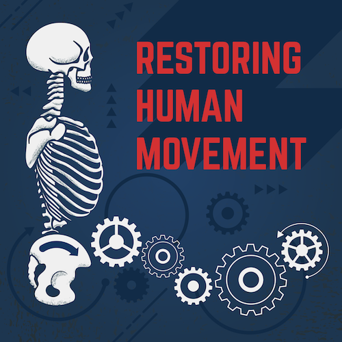 Hamstring Mystery Solved Nerve Referral and Core Stability (Dr Dawne)