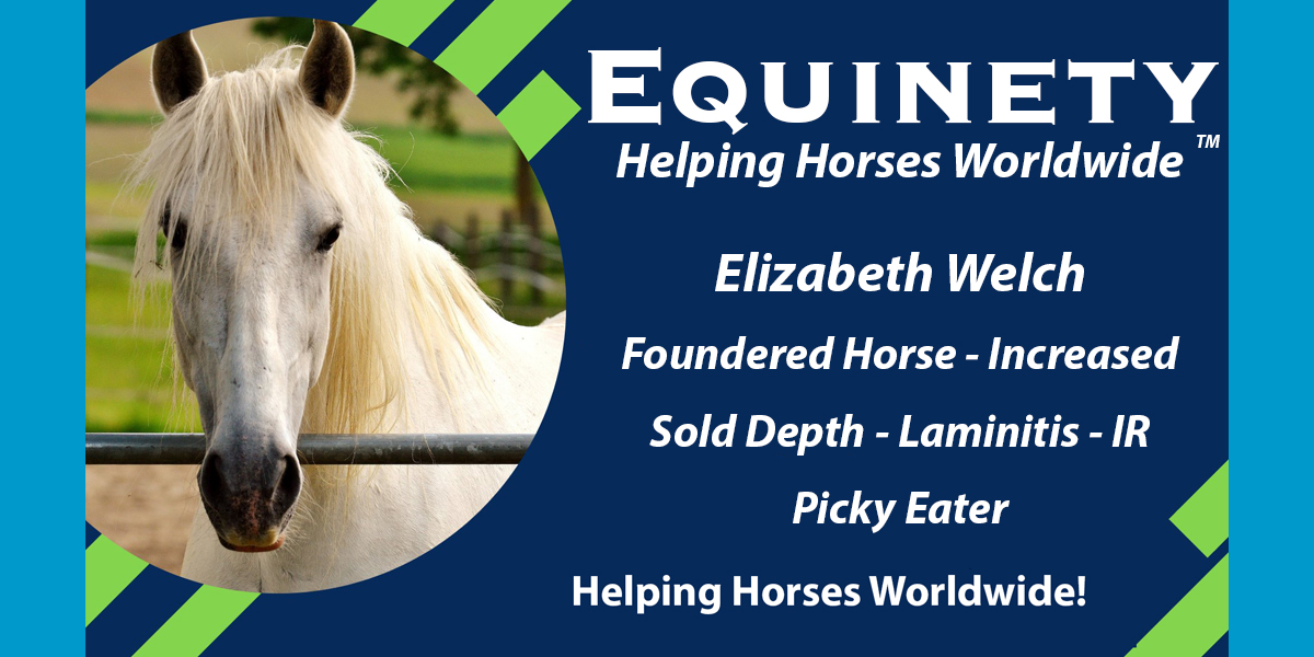 Team Equinety Podcast