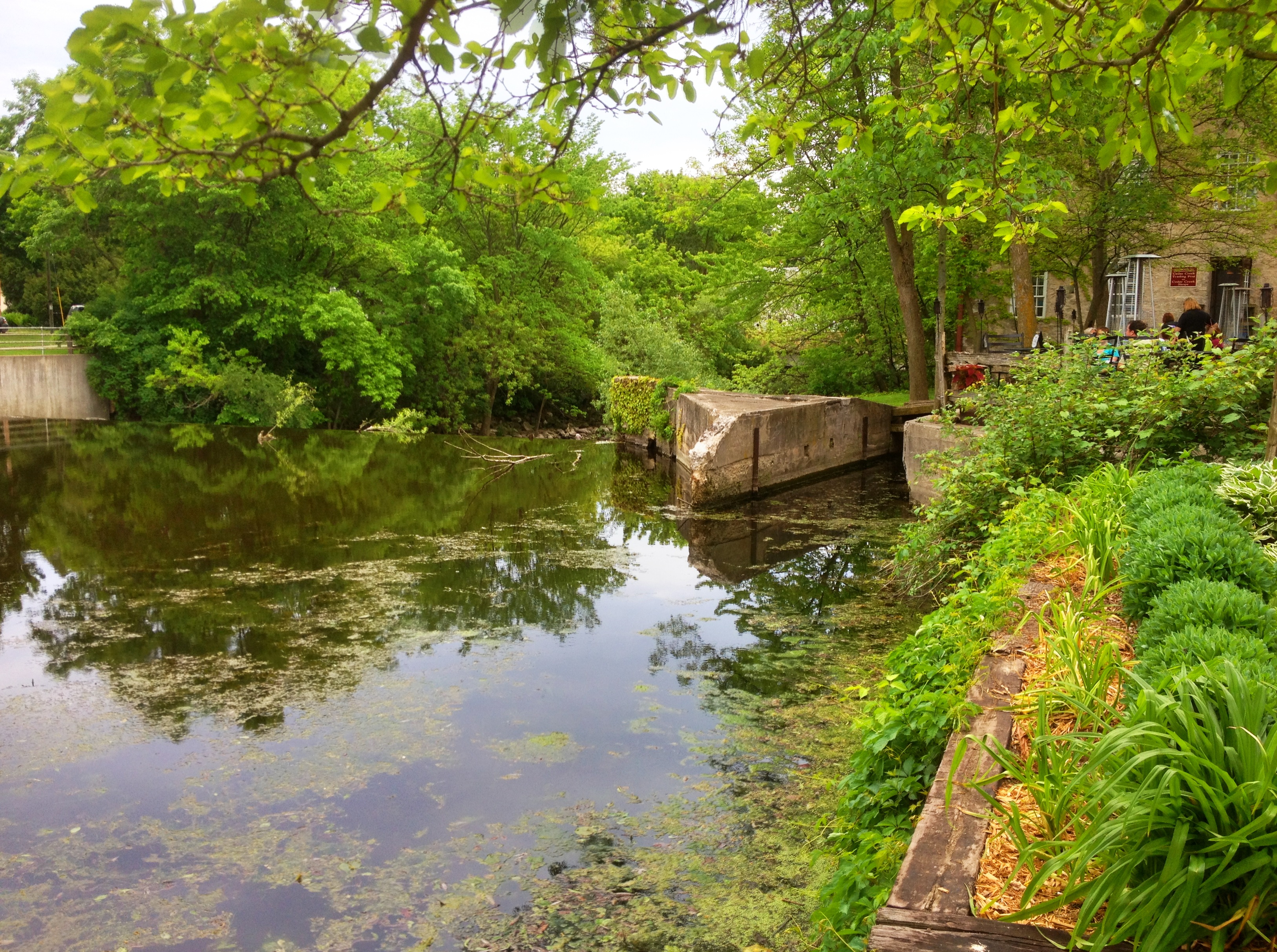 TWK Trucking with kingfish