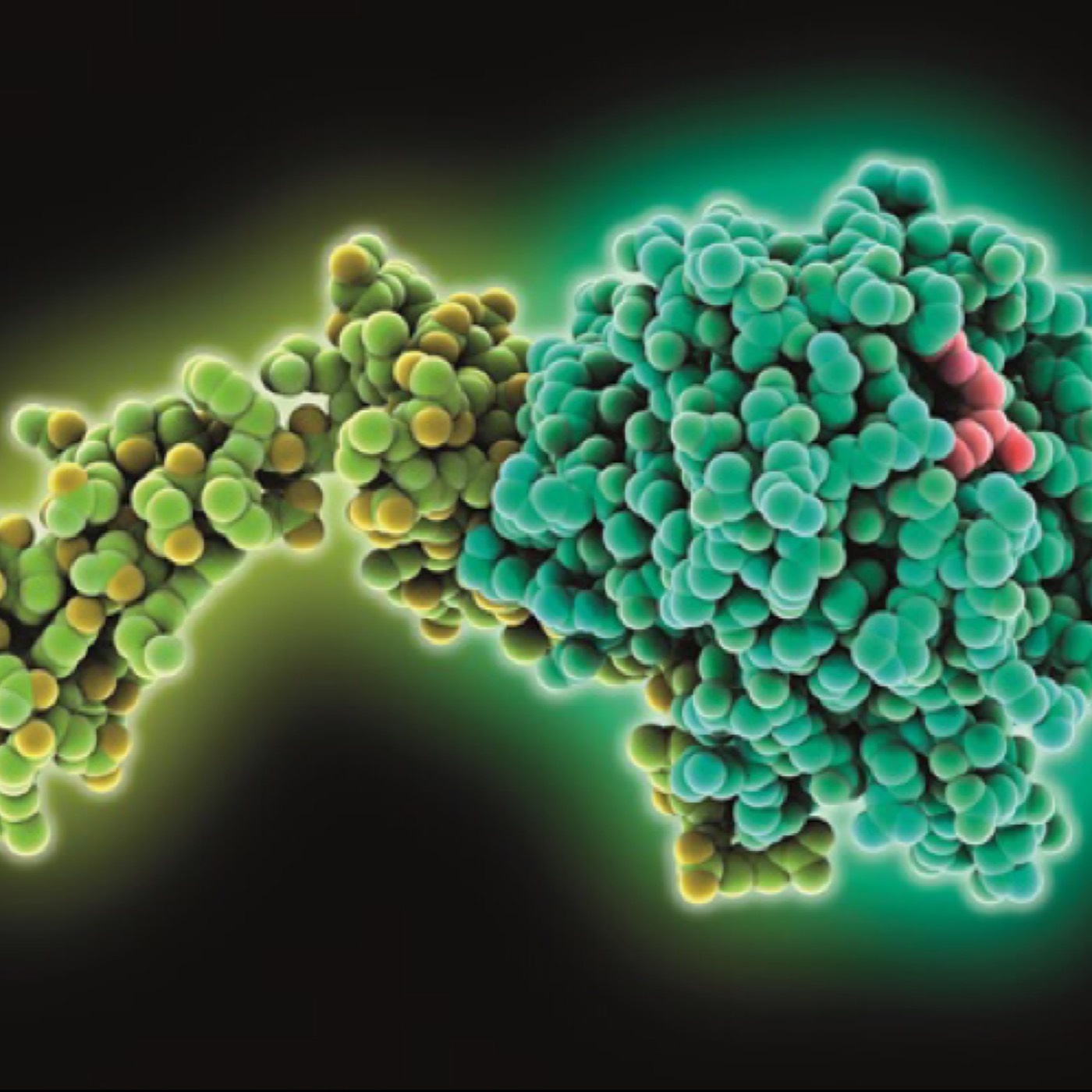 Andexanet for Xarelto?!