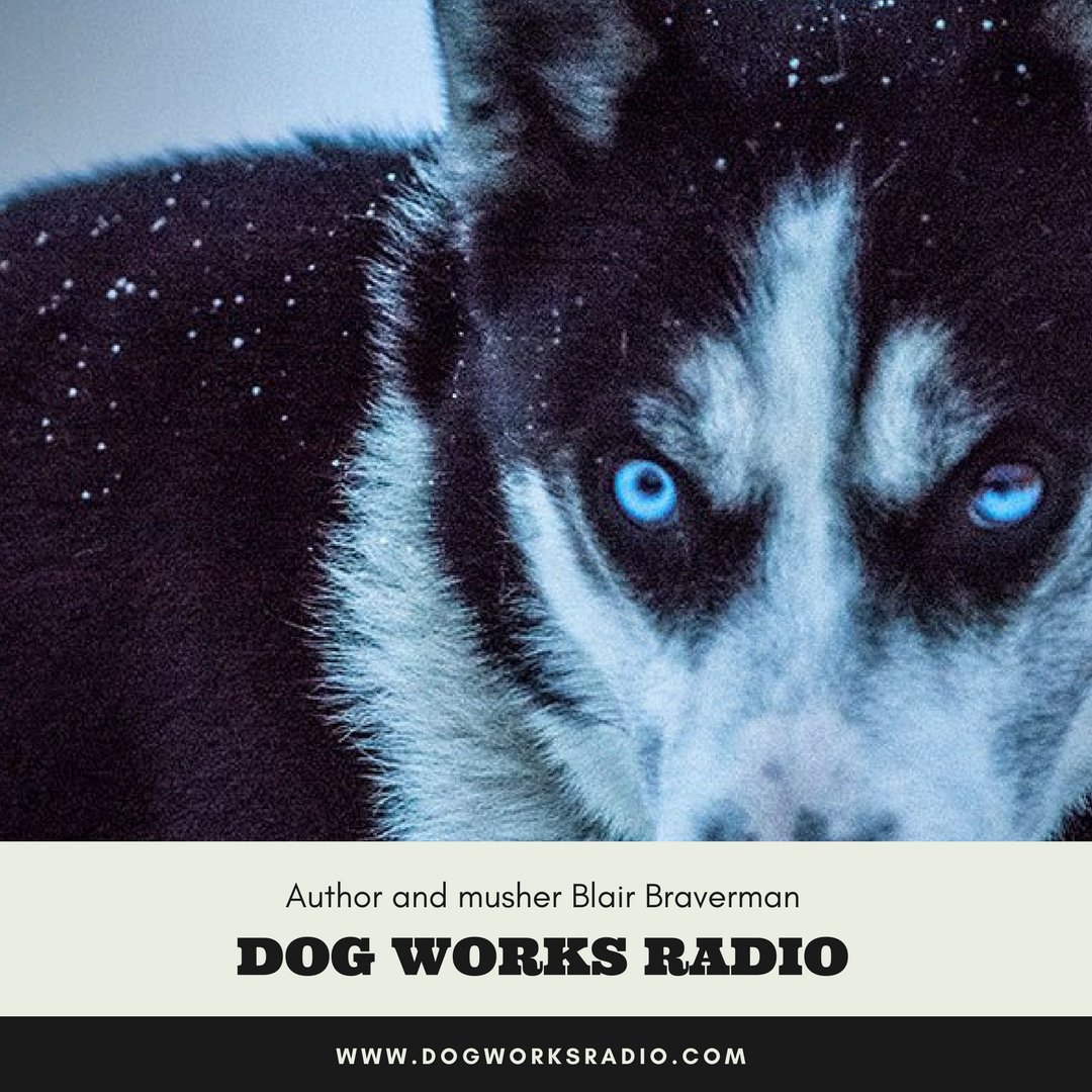 Dog Works Radio