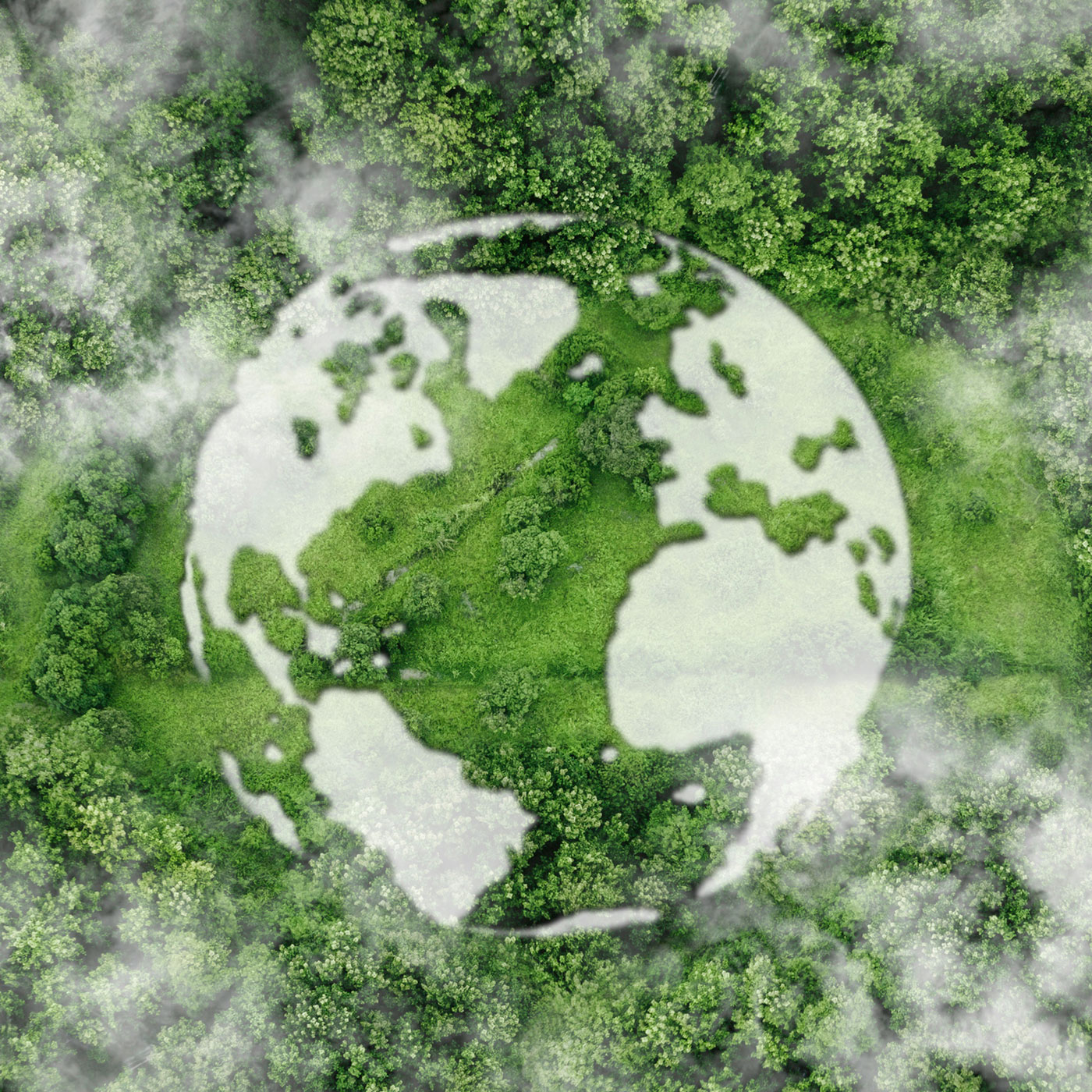 Deanna’s Dialogues: Navigating Carbon Sustainability