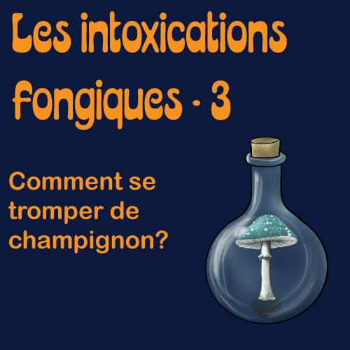 Intoxications fongiques: comment se tromper de champignon Intoxications fongiques: comment se tromper de champignon