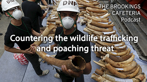 Countering the wildlife trafficking and poaching threat