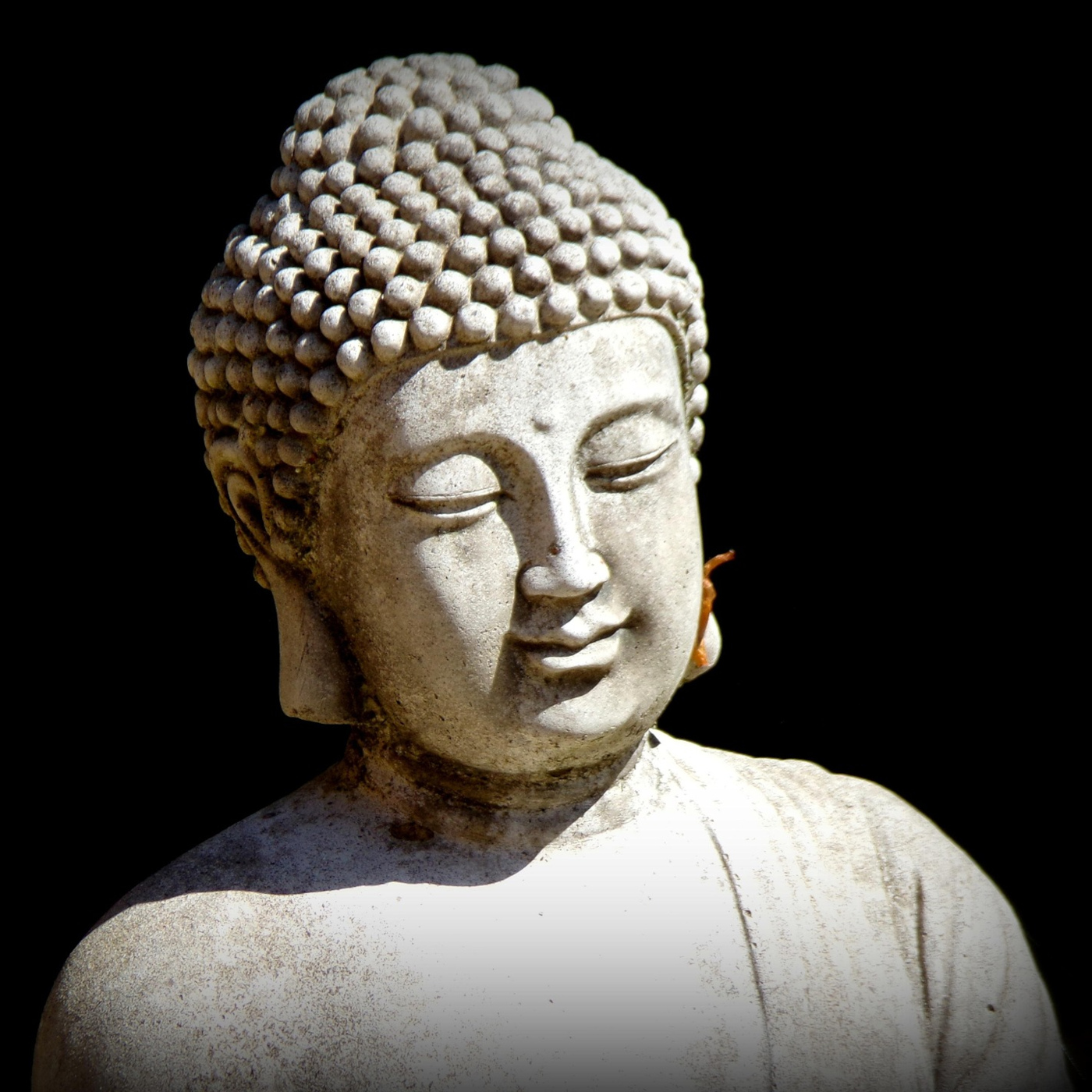 295 - The Power of Equanimity