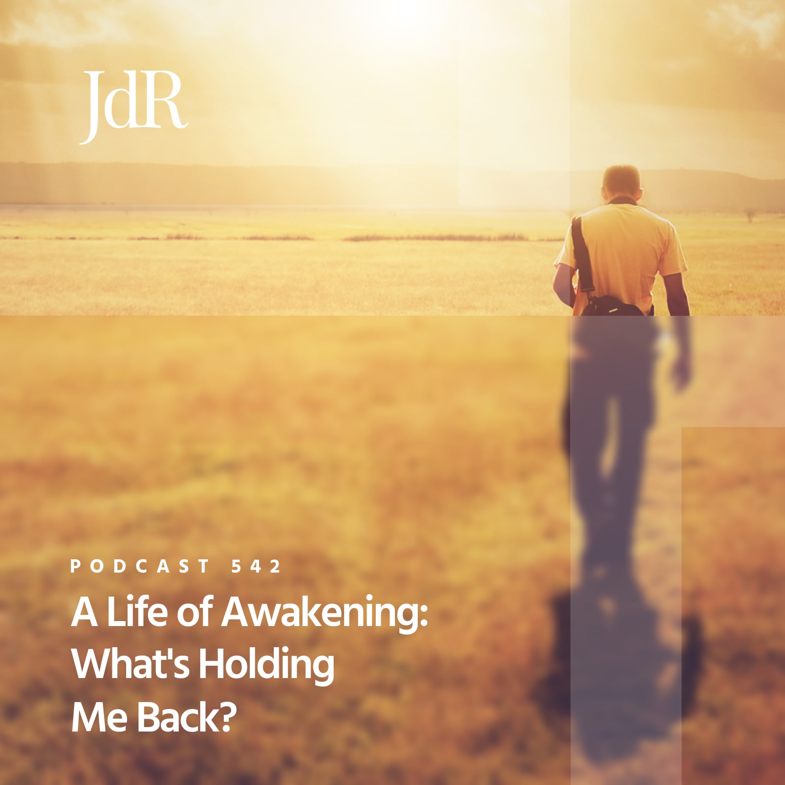JdR Podcast 542 - A Life of Awakening: What's Holding Me Back?