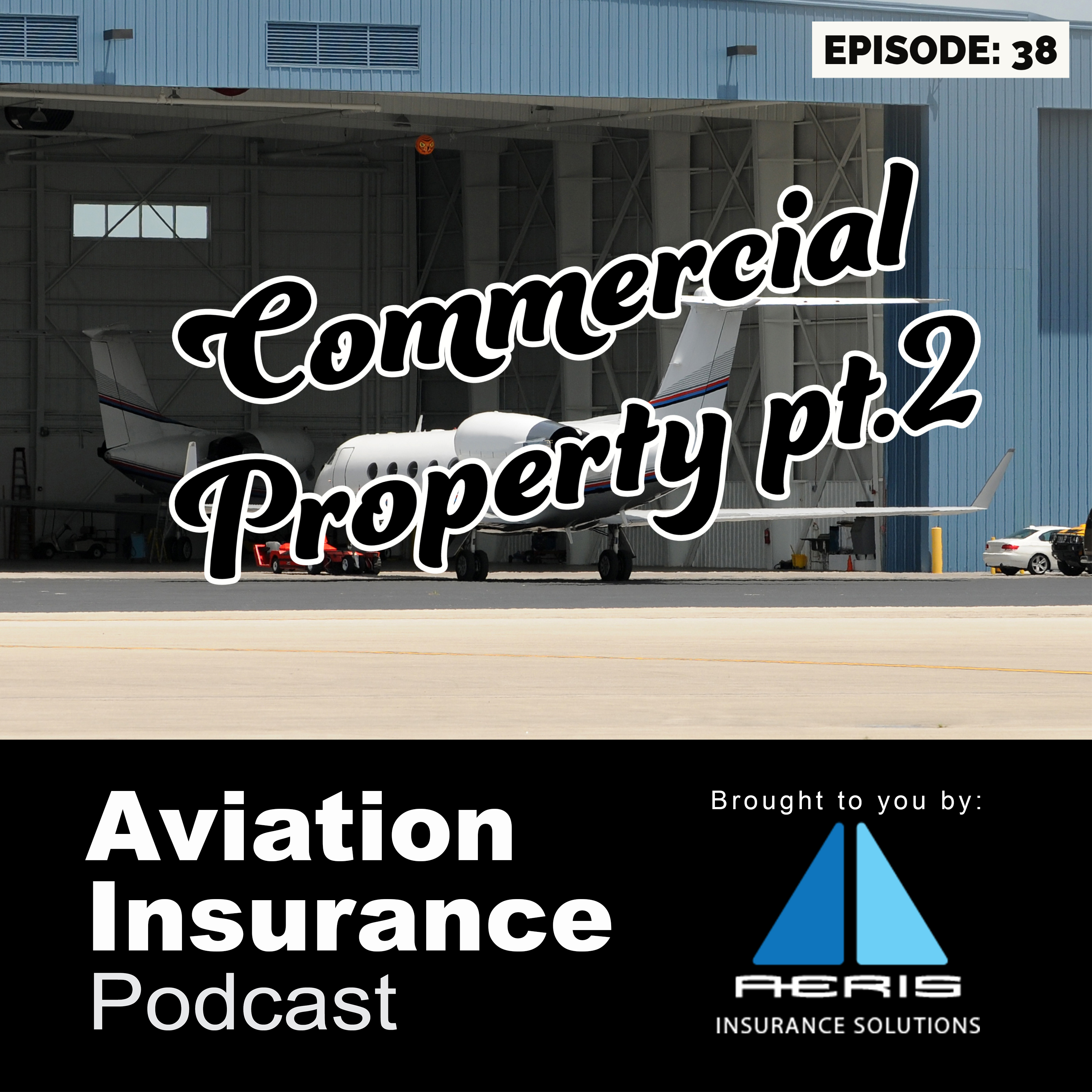 Episode 38: Commercial Property Aviation Insurance Pt. II
