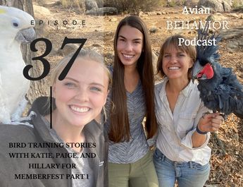 The Avian Behavior Podcast
