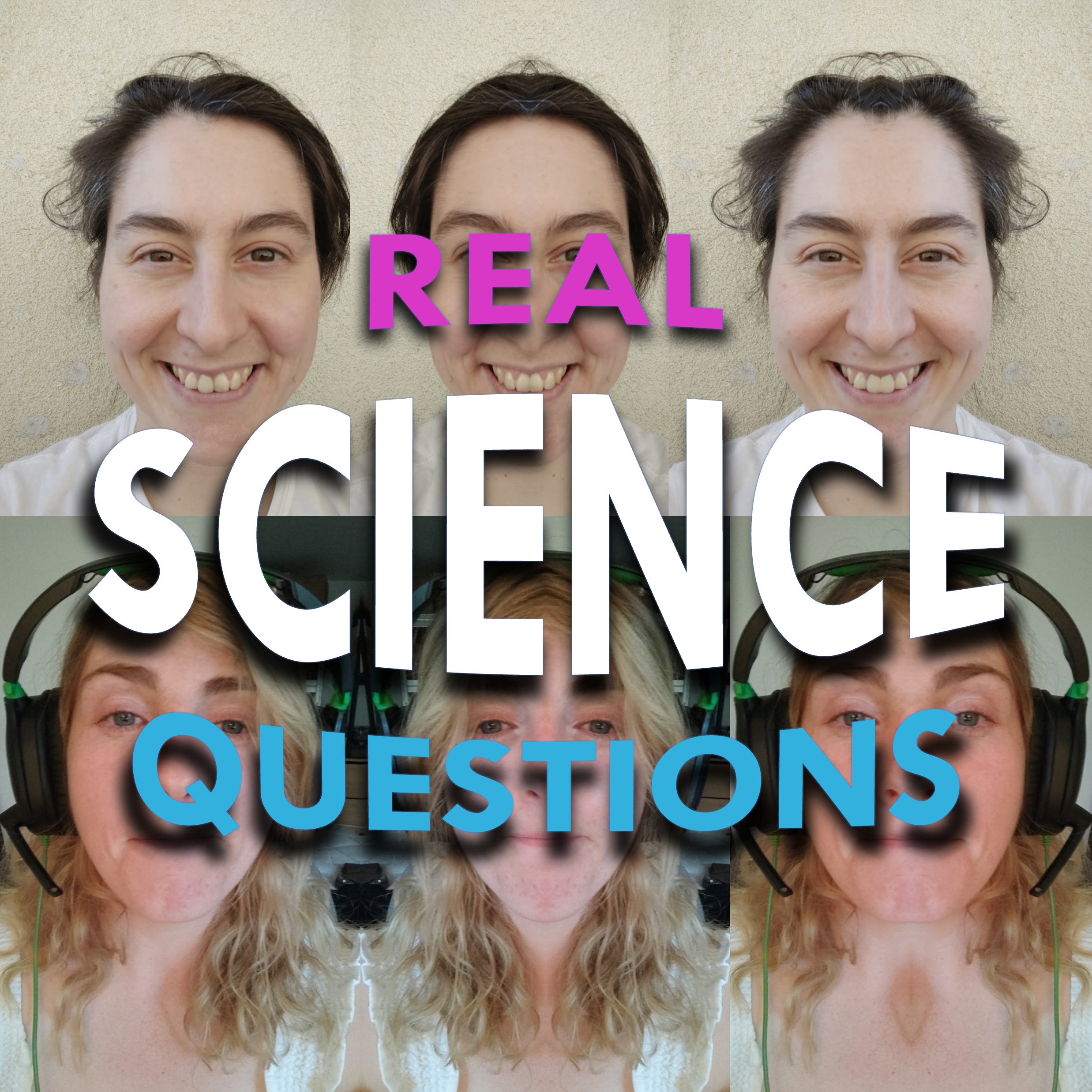#2 Why the Face? Part 1: Symmetry, Eyes, and Doppelgangers