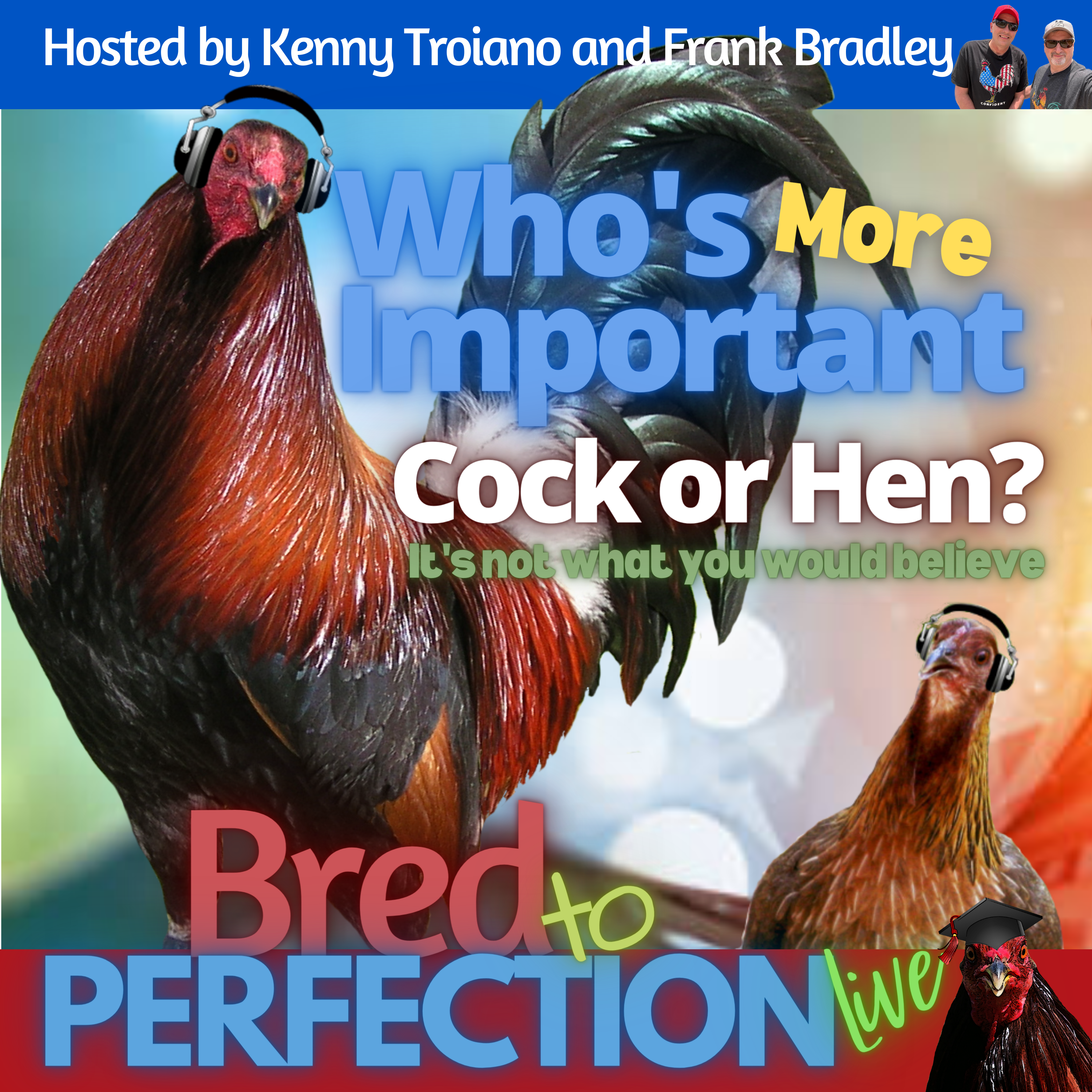 Fan Favorite Episode - WHO'S MORE IMPORTANT - COCK OR HEN?