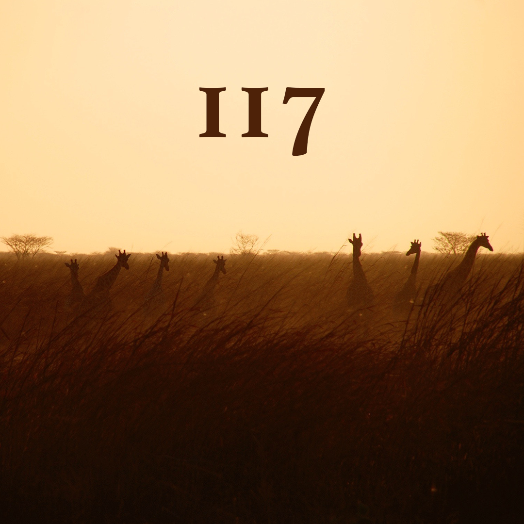 #117 - African Soul, American Heart
