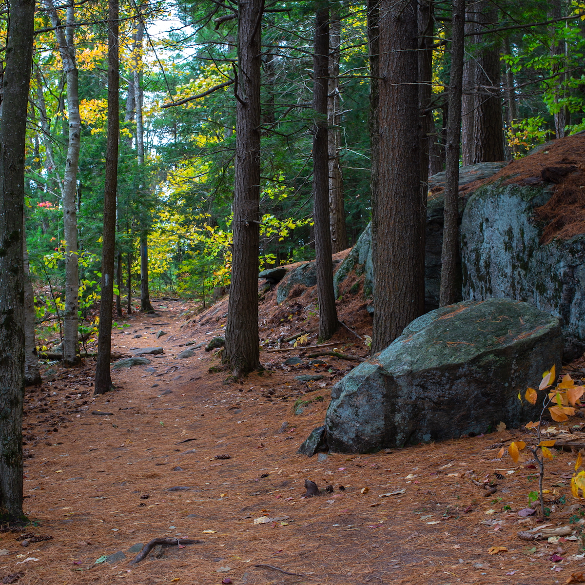 The Path We Walk Together