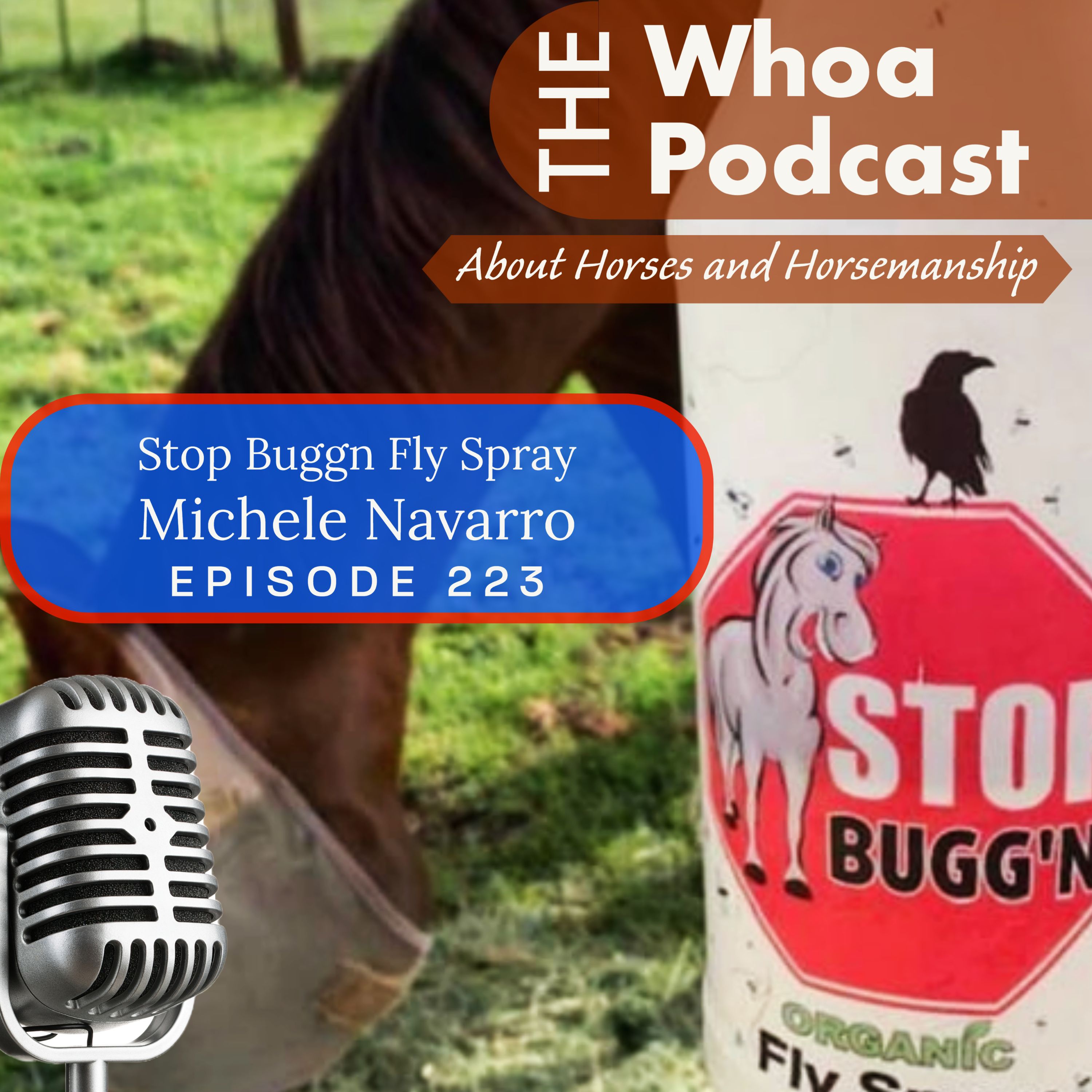 Horse Fly Spray Solution: 'Stop Buggn'