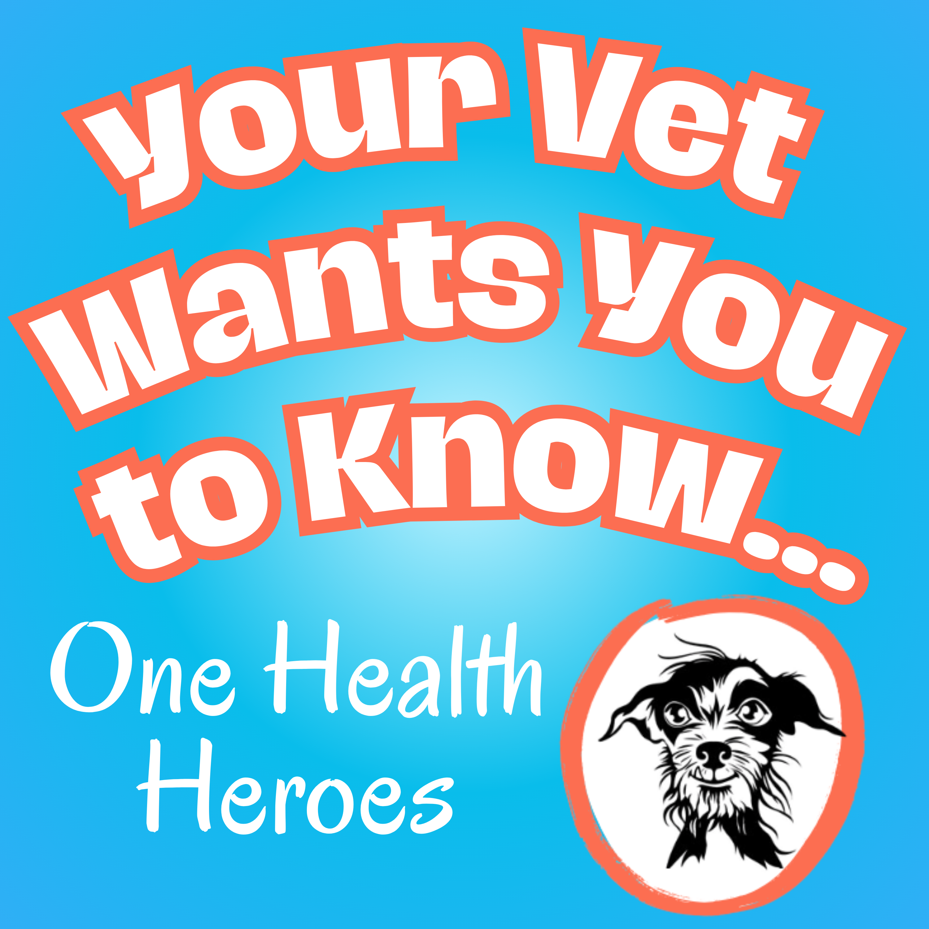Your Vet Wants You to Know