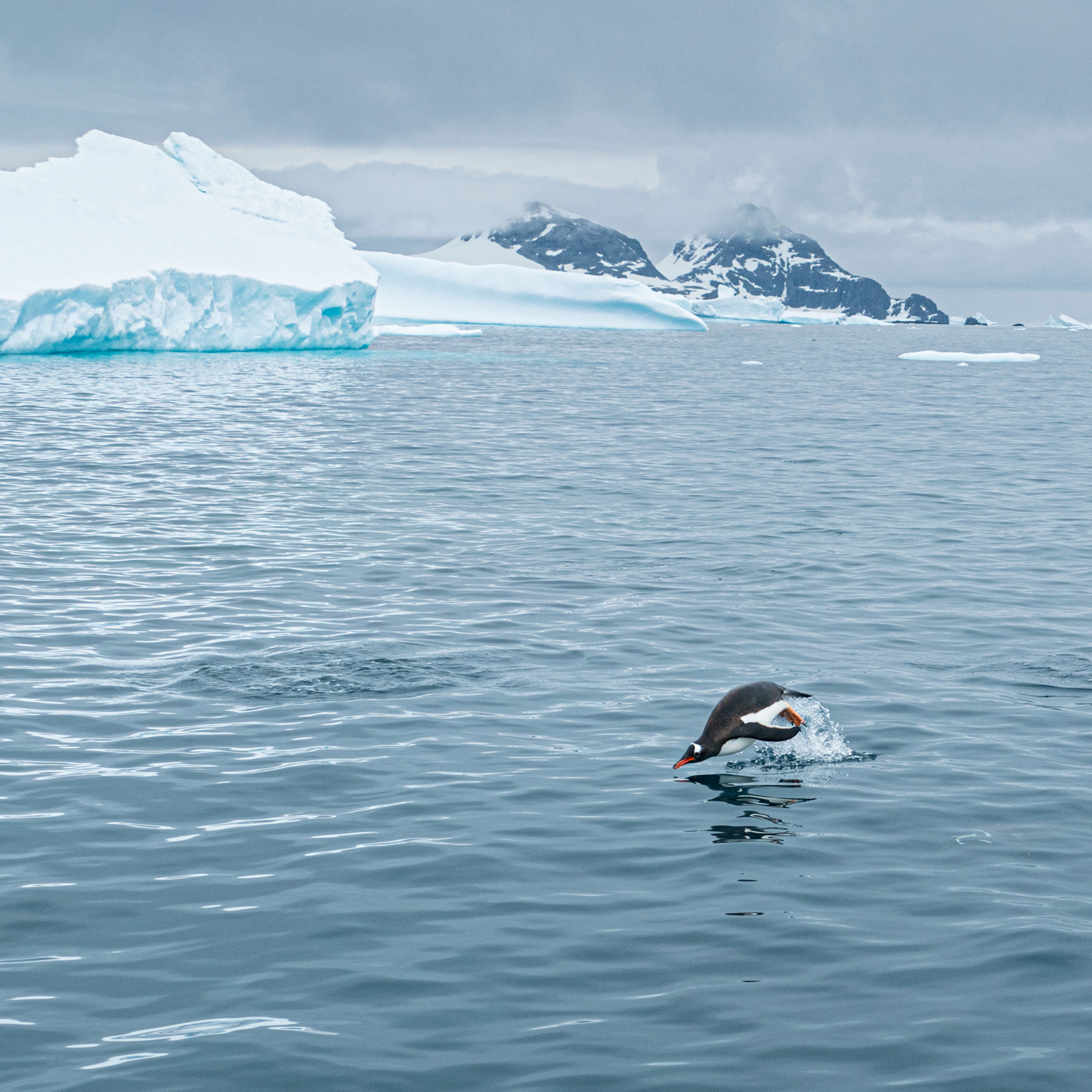World Oceans Day