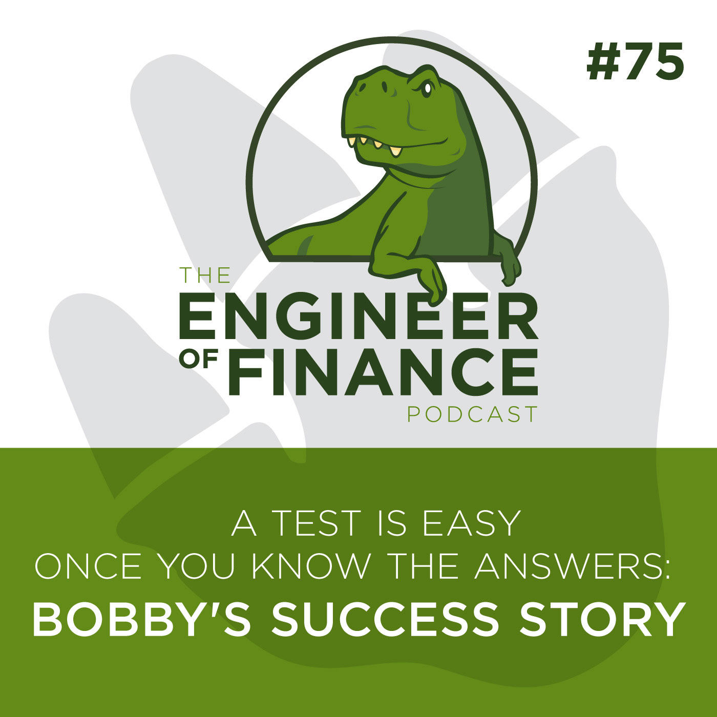 Engineer of Finance