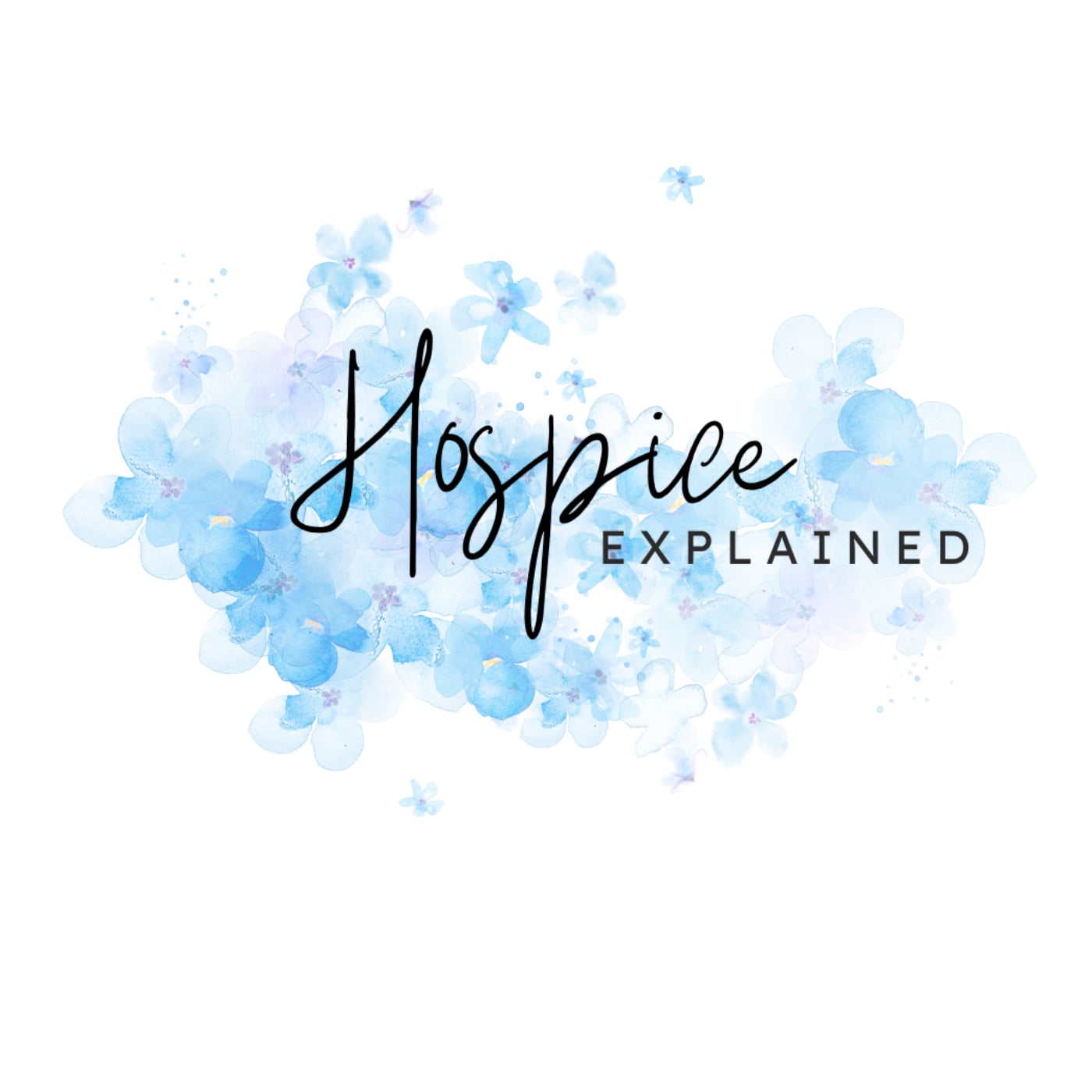 Hospice Explained