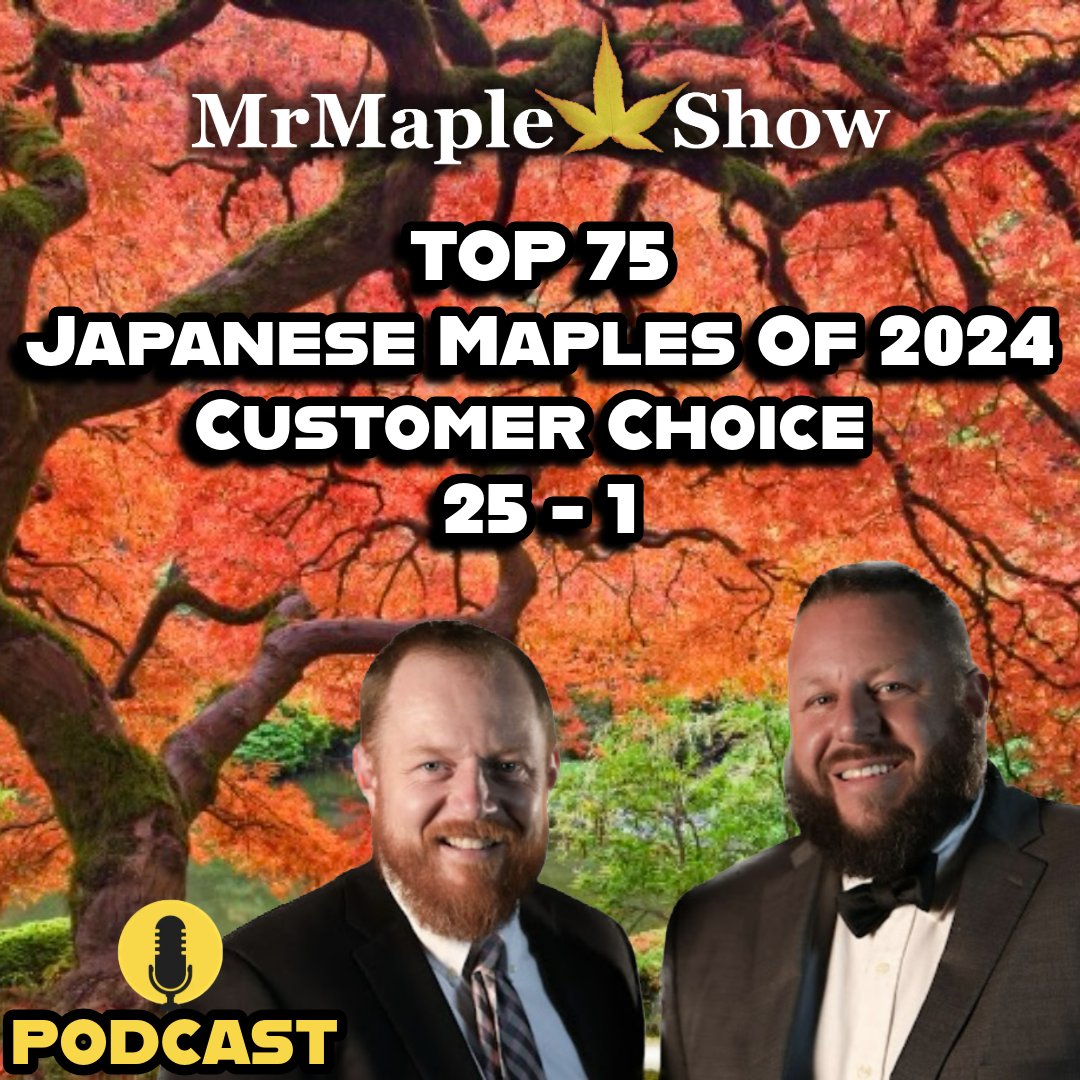 MrMaple Show