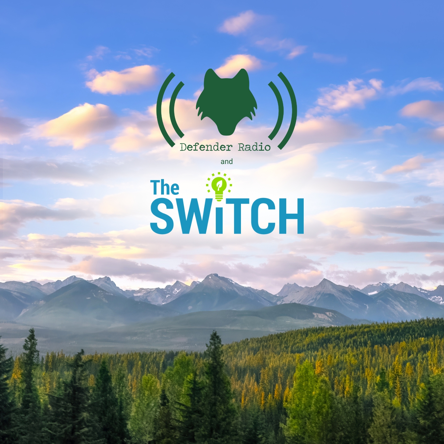 Season 11 Coming Soon!