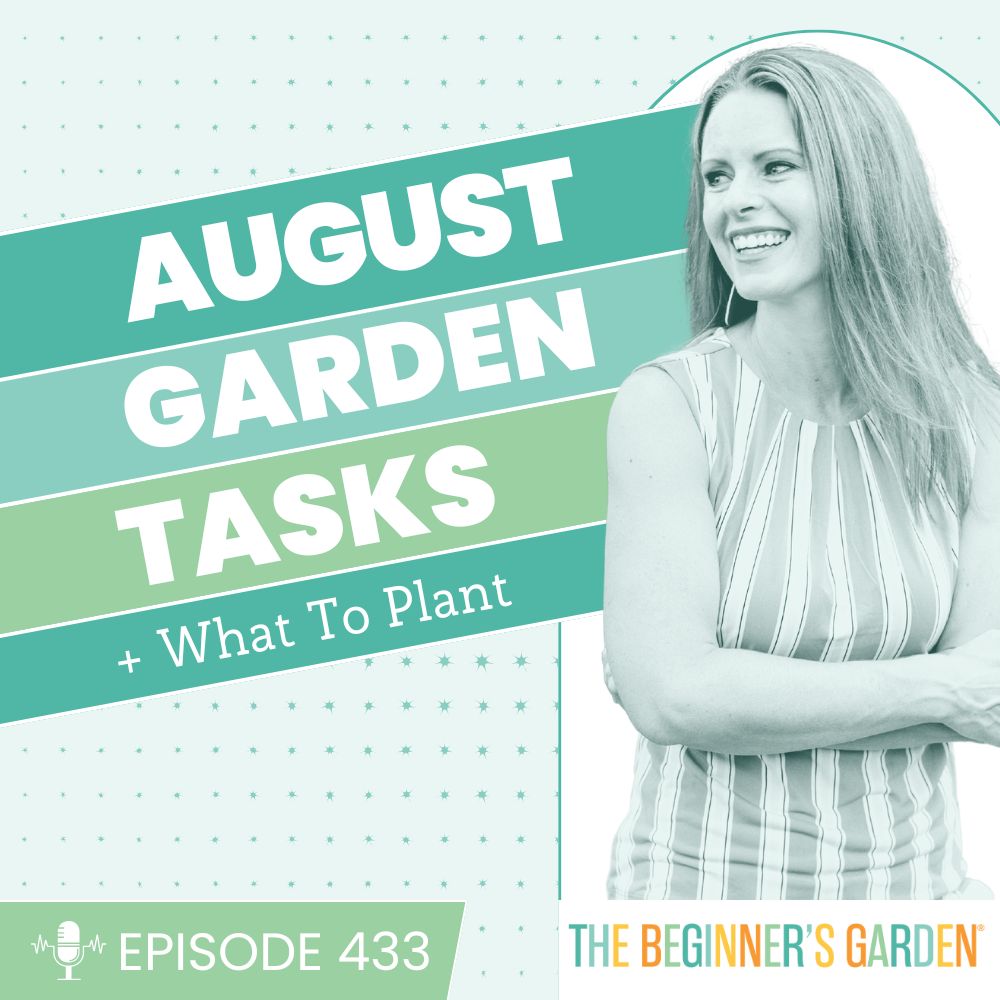 433 - August Garden Tasks + What to Plant