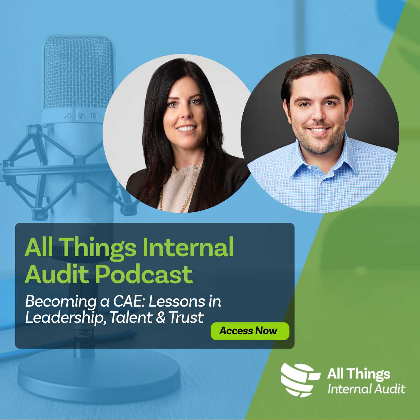 All Things Internal Audit