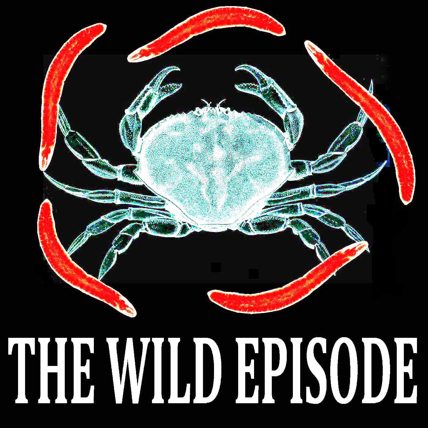 The Wild Episode