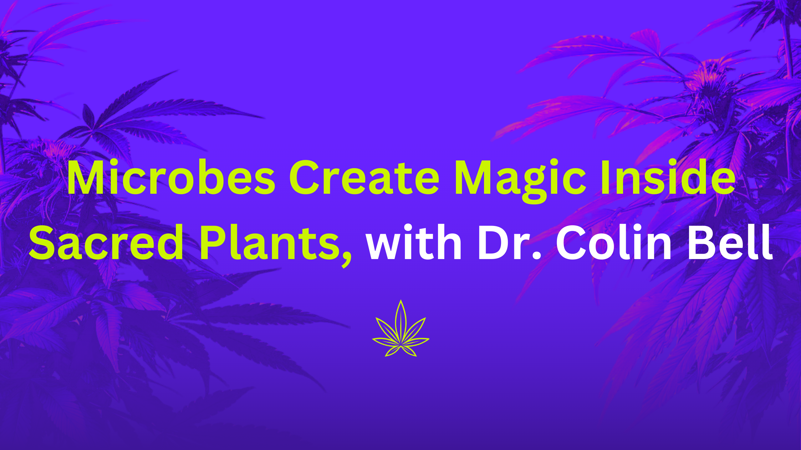 🪄Microbes Create Magic Inside Sacred Plants, with Dr. Colin Bell