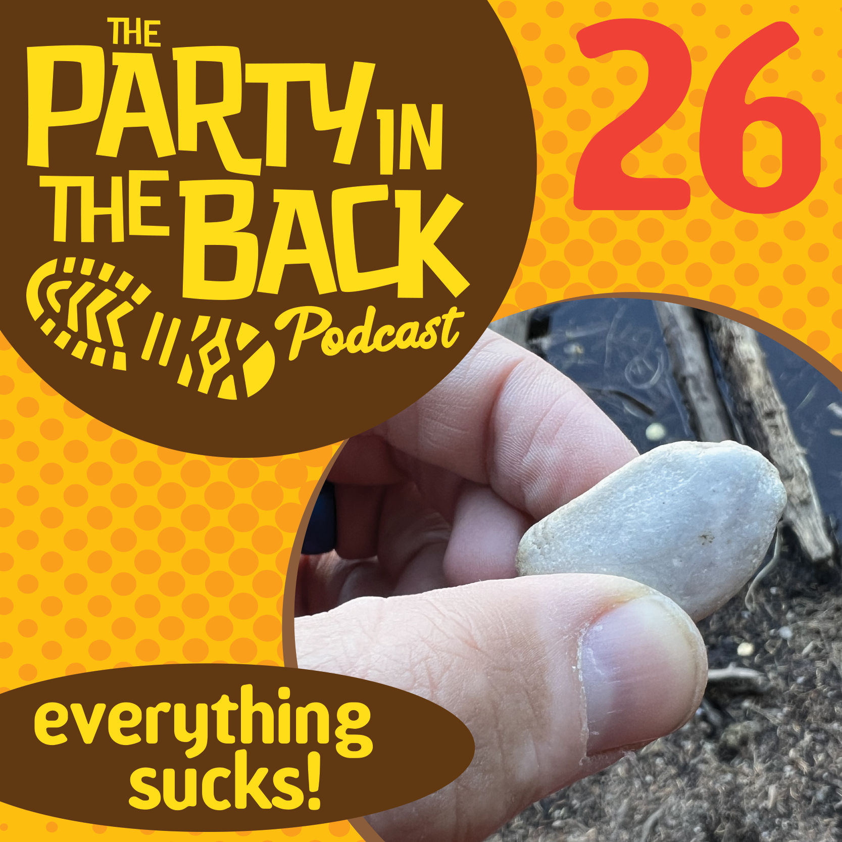 The Party in the Back