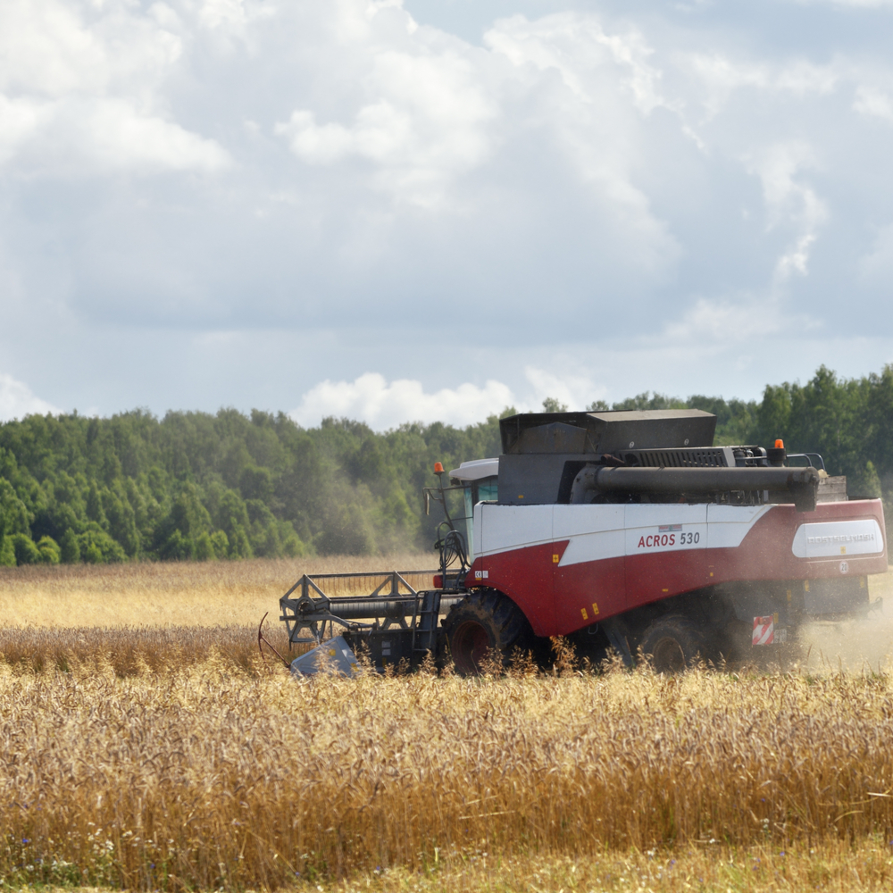 RaboResearch Agri Commodities