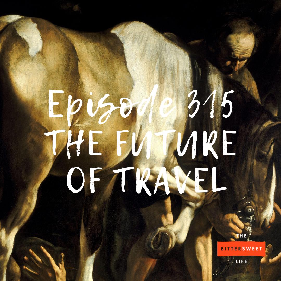 Episode 315: THE FUTURE OF TRAVEL