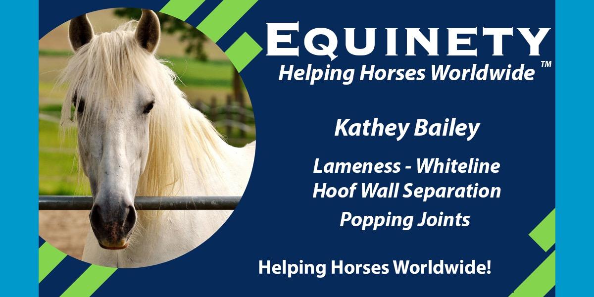 Team Equinety Podcast