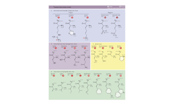 Life from Molecules: 2