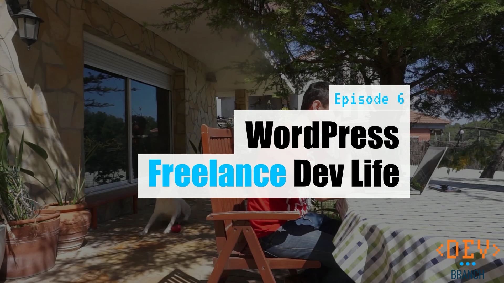 WPwatercooler: Dev Branch - Monthly WordPress Web Development Talk Show