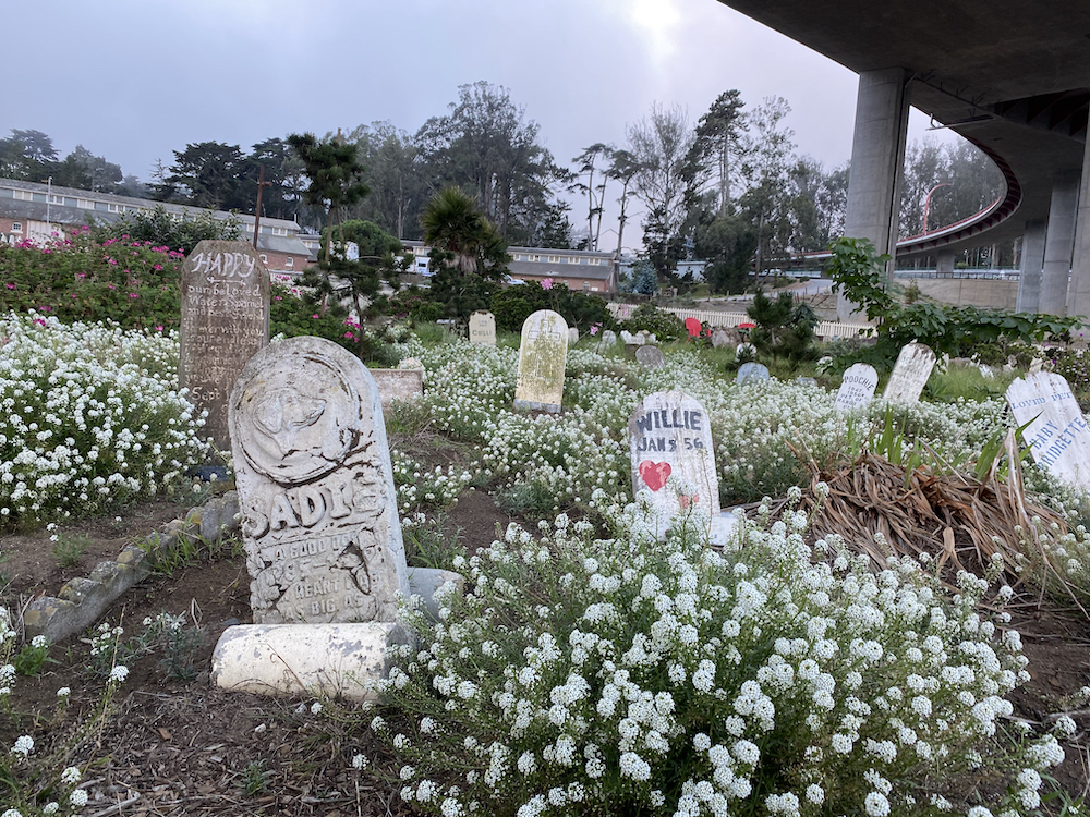 San Francisco Cemeteries, Part 4 (S5E3)