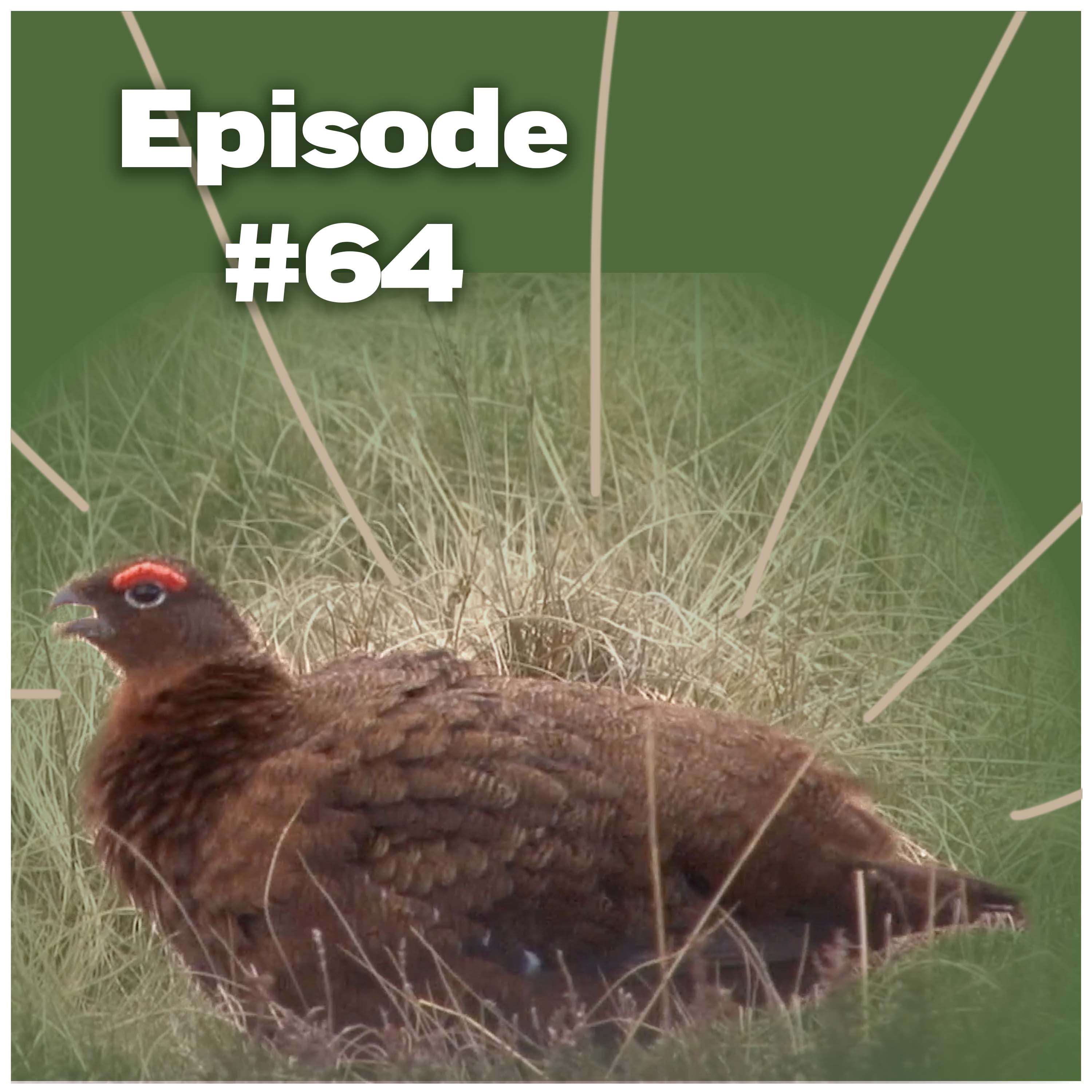 FieldsportsChannel\'s Podcast