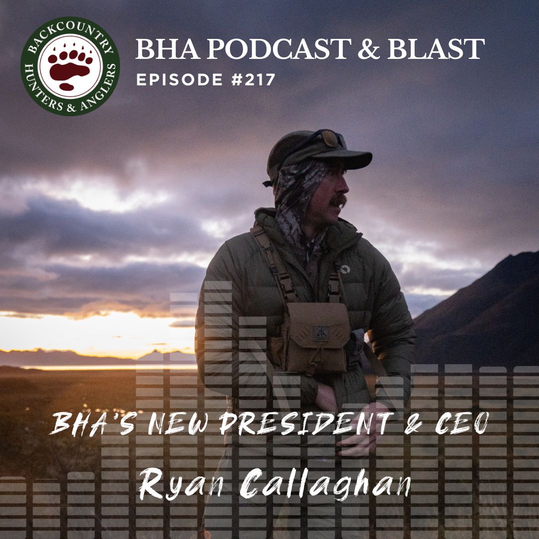 BHA's NEW President & CEO Ryan Callaghan BHA's NEW President & CEO Ryan Callaghan