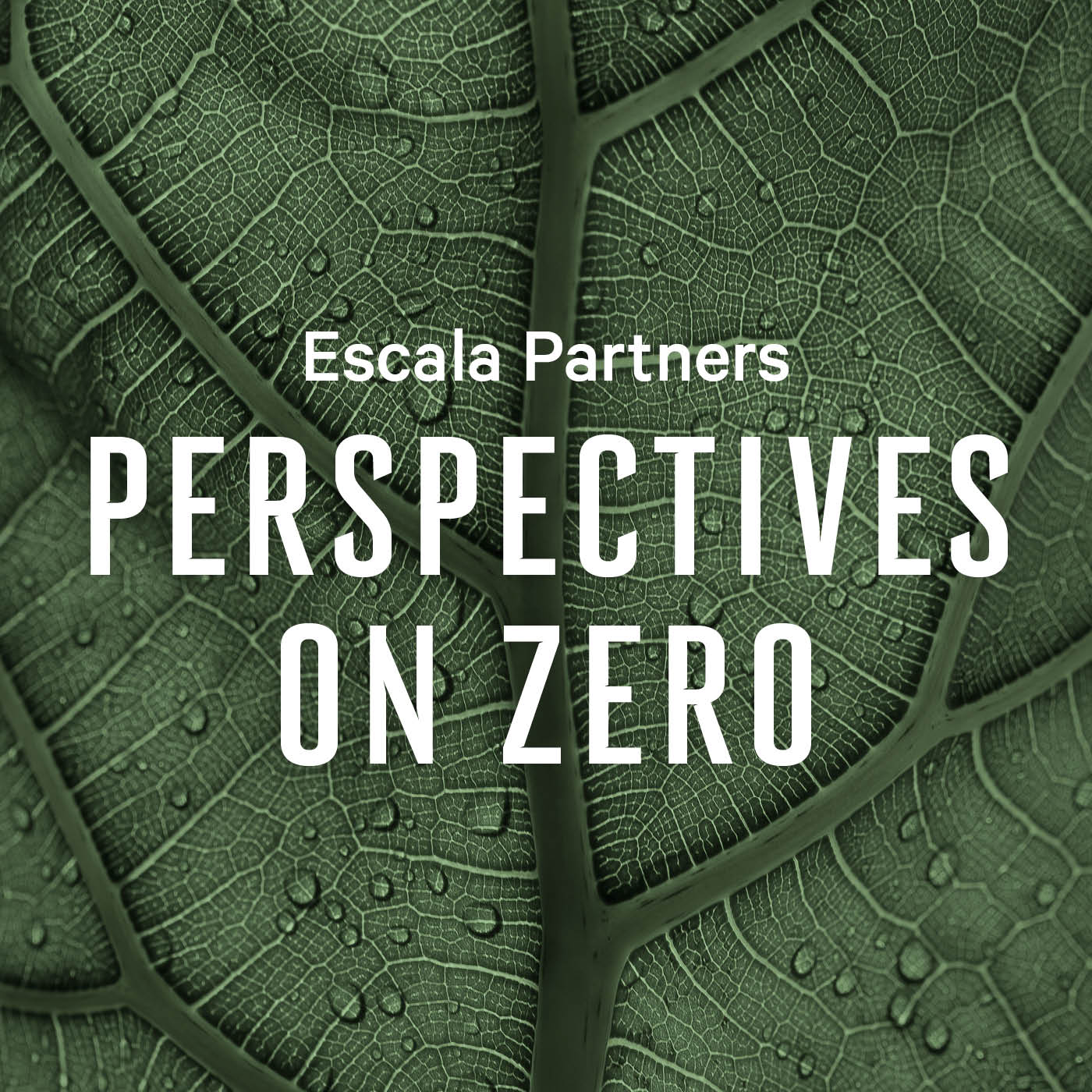 \'Perspectives\' by Escala