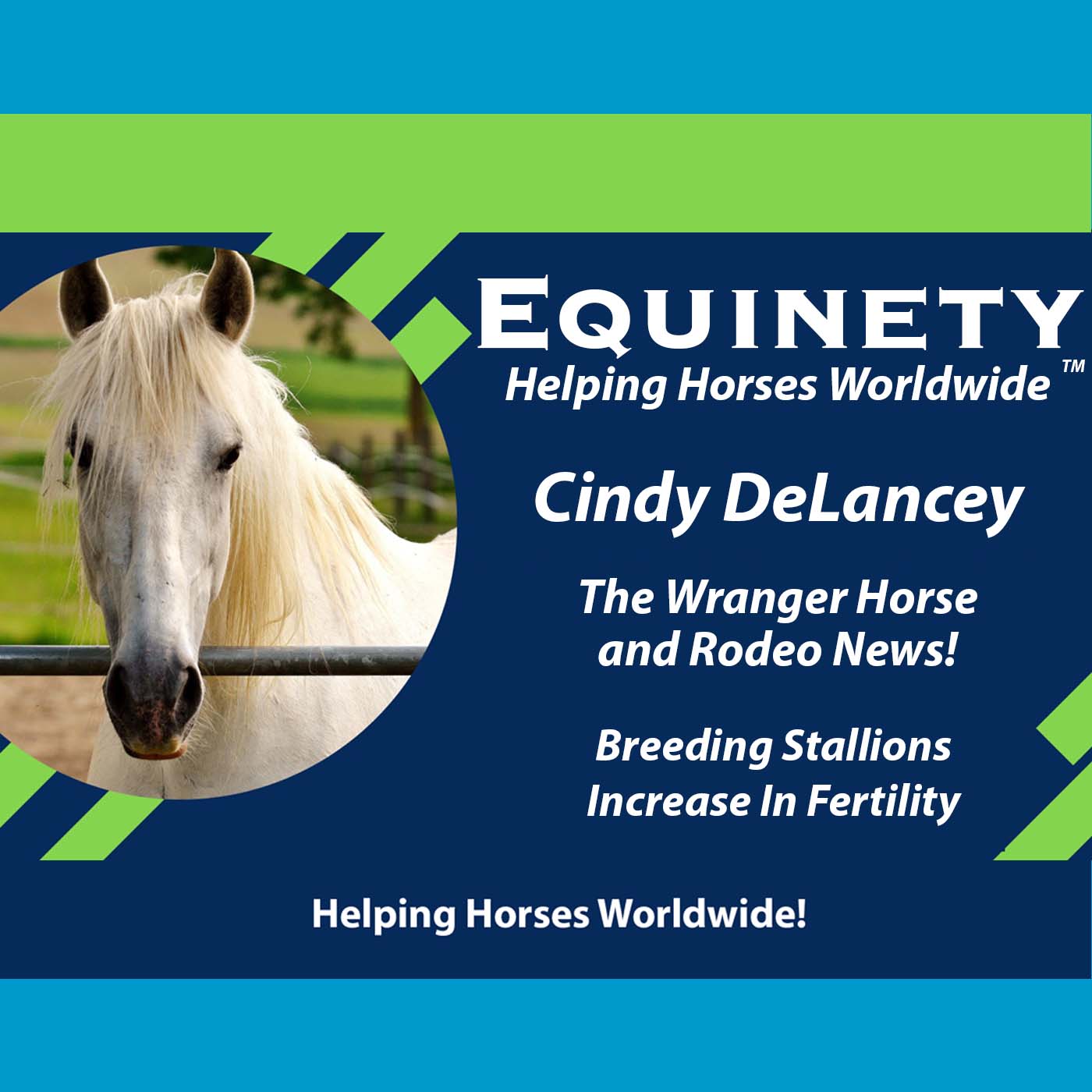 140 - Cindy Delancey - The Wrangler Horse and Rodeo News - Breeding Stallions