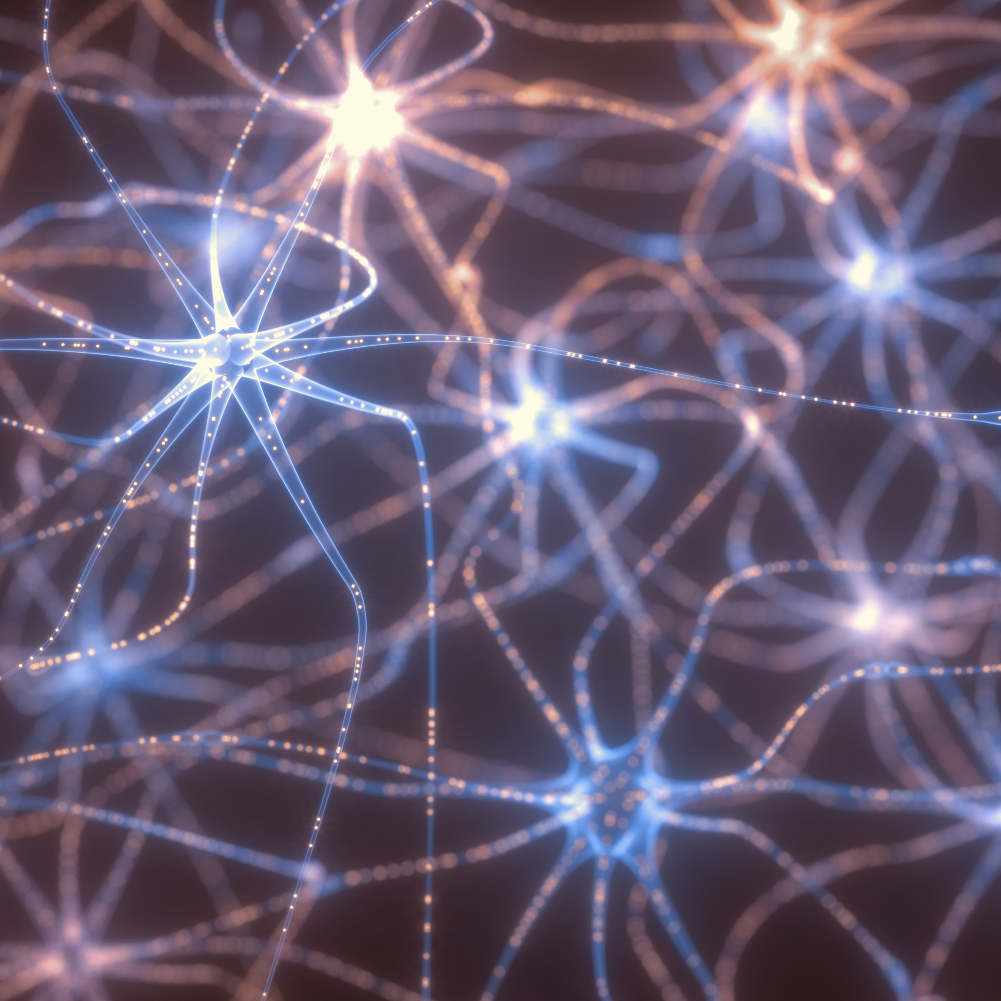 Your Busy Brain