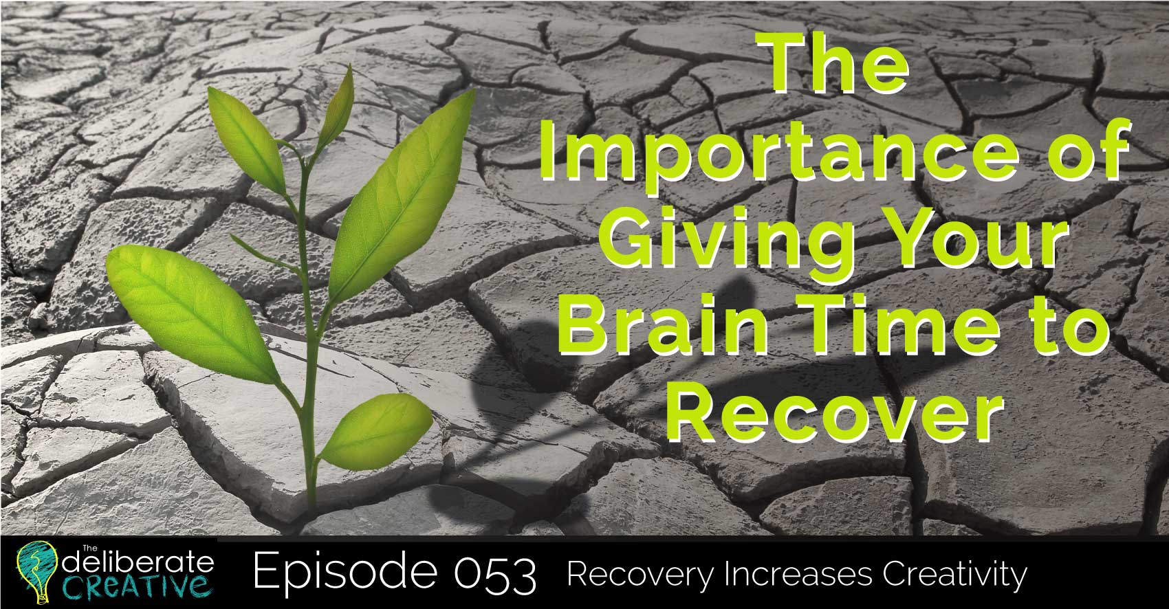 Episode 53: The Importance of Recovery Time for Creativity