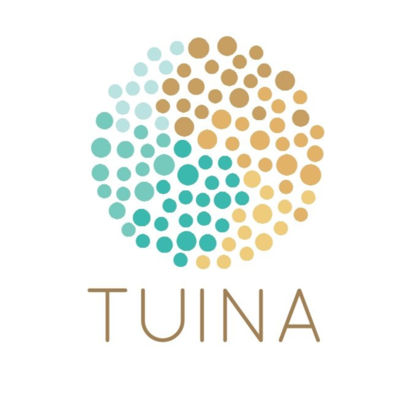 James Luo: Tunia Massage for Horses