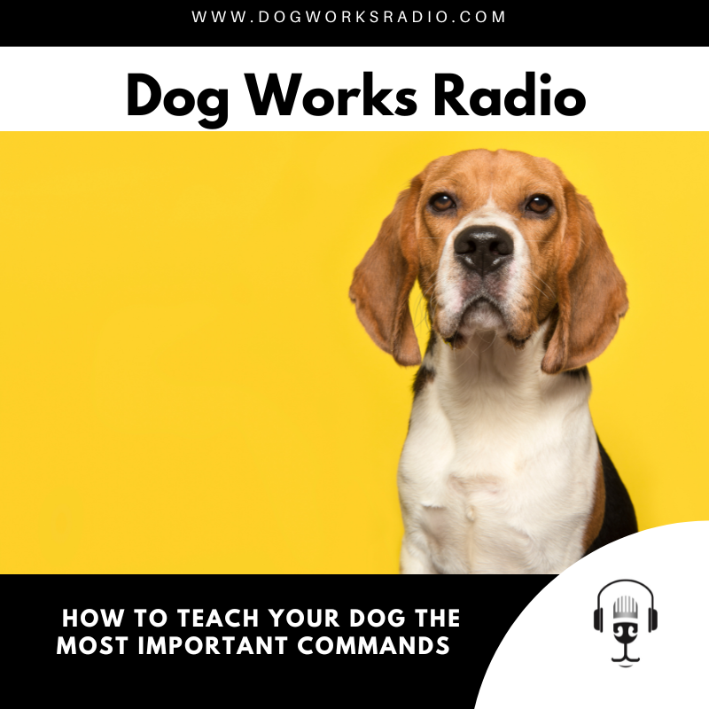 Dog Works Radio