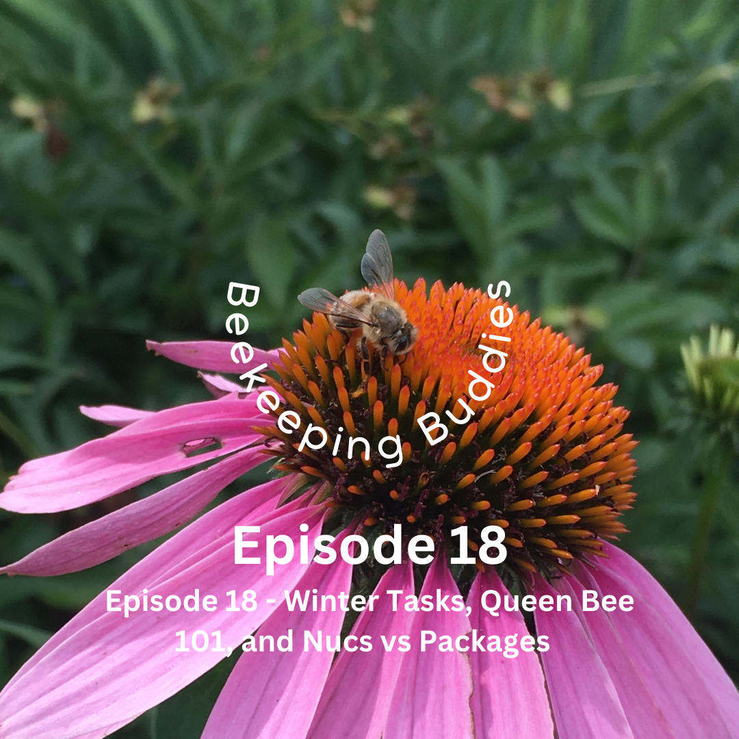 Beekeeping Buddies