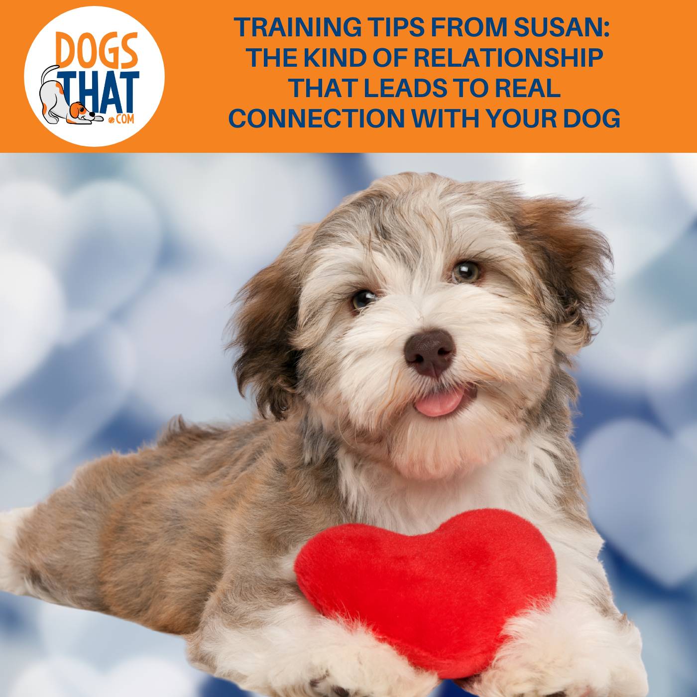 Training Tips From Susan: The Kind of Relationship That Leads to Real Connection With Your Dog