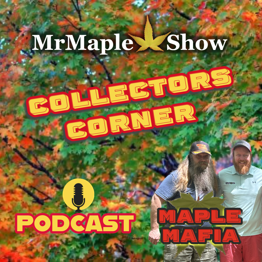 MrMaple Show