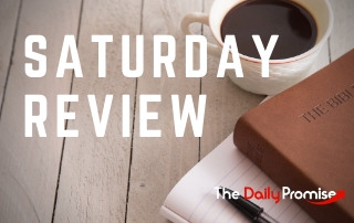 Saturday Review - November 22, 2025